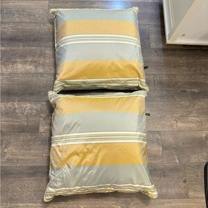 Set of 2 Rodeo Home Feather‎ and Down Throw Pillows